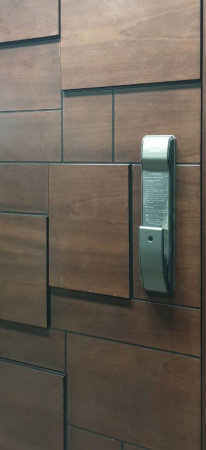 ВРЕЗНОЙ ЭЛЕКТРОННЫЙ ДВЕРНОЙ ЗАМОК KAADAS K9-5W BLACK С ОТПЕЧАТКОМ ПАЛЬЦА