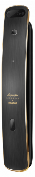 БИОМЕТРИЧЕСКИЙ ЭЛЕКТРОННЫЙ ЗАМОК С РАСПОЗНАВАНИЕМ ЛИЦА KAADAS K13F (GOLD)